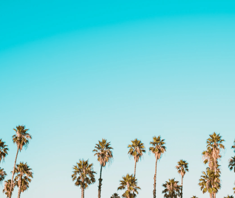 What is a Habit (And Why Does it Matter)?