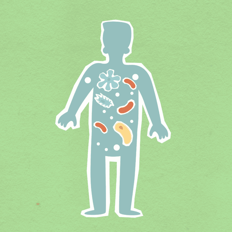 Half-Life of Percocet