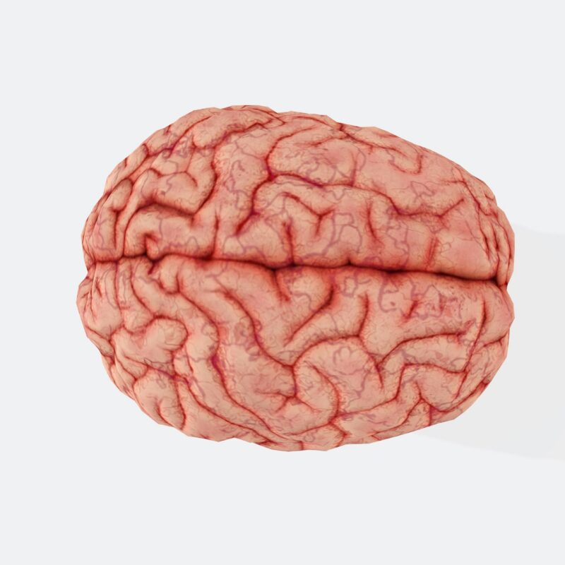 Conceptual illustration representing antisocial personality disorder and behavioral regulation