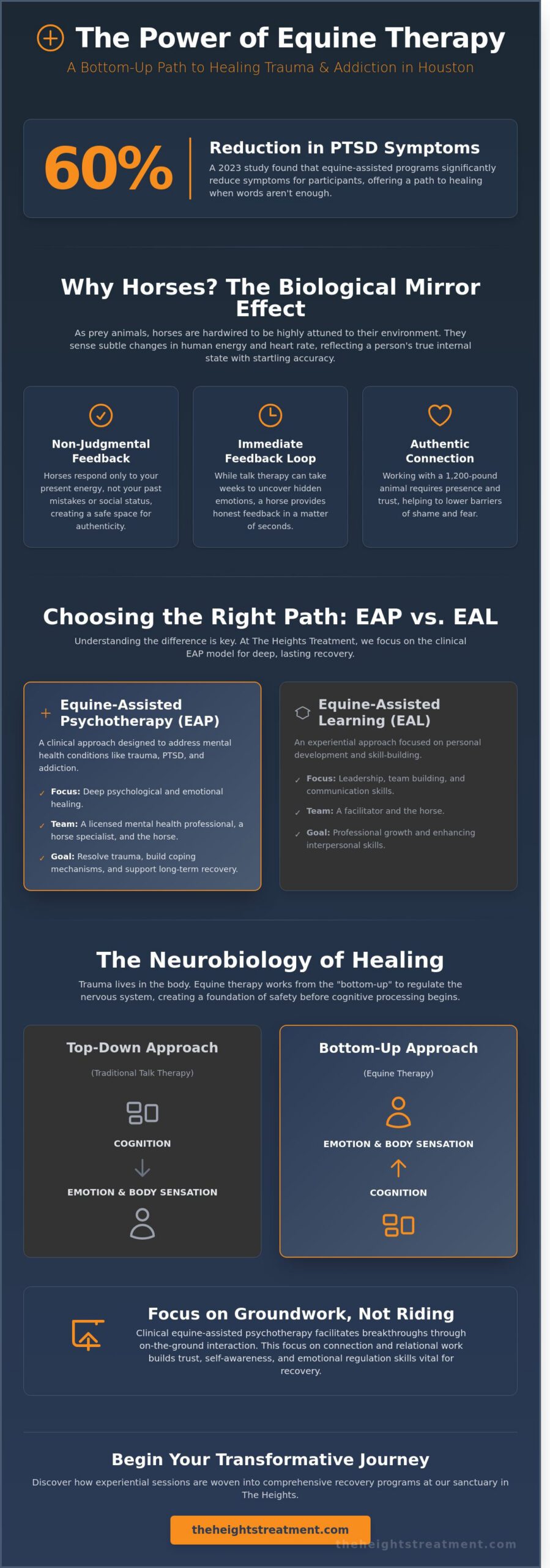 Horse Therapy in Houston: A Comprehensive Guide to Equine-Assisted Recovery (2026)